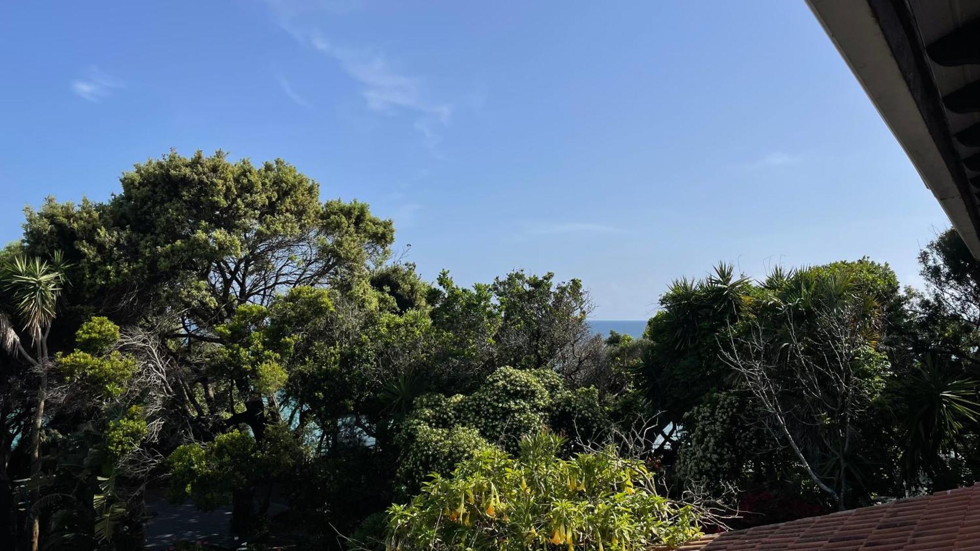 Halikounas Alonaki Bay 아파트 외부 사진